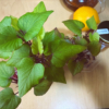 Thumbnail of related posts 097